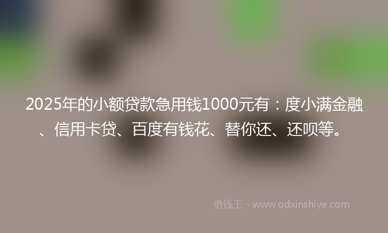 2025年的小额贷款急用钱1000元有：度小满金融、信用卡贷、百度有钱花、替你还、还呗等。