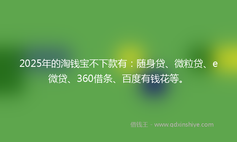 2025年的淘钱宝不下款有：随身贷、微粒贷、e微贷、360借条、百度有钱花等。