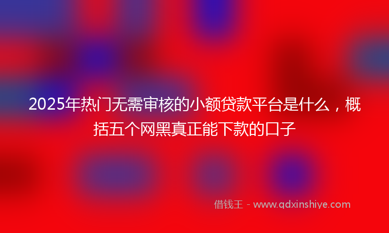 2025年热门无需审核的小额贷款平台是什么，概括五个网黑真正能下款的口子
