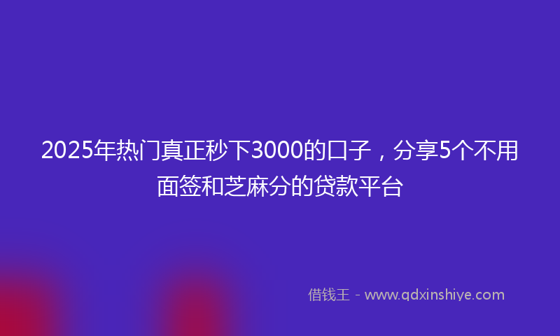 2025年热门真正秒下3000的口子，分享5个不用面签和芝麻分的贷款平台
