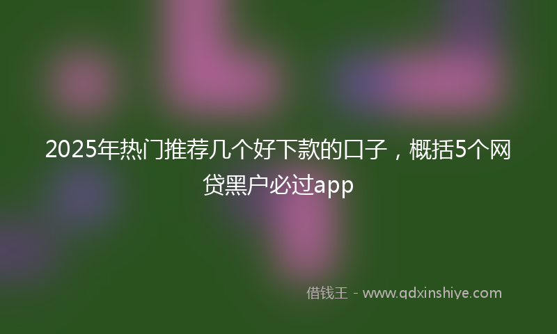 2025年热门推荐几个好下款的口子，概括5个网贷黑户必过app