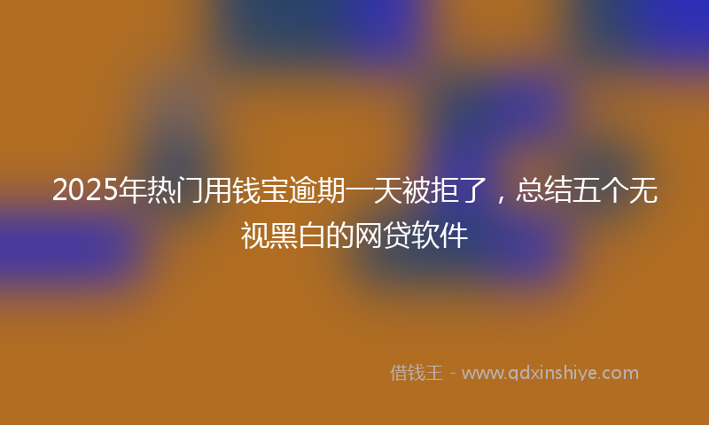 2025年热门用钱宝逾期一天被拒了，总结五个无视黑白的网贷软件