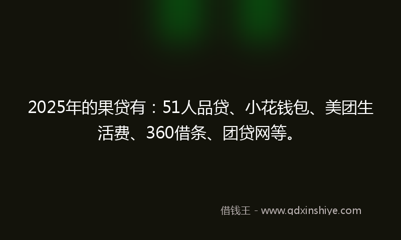 2025年的果贷有：51人品贷、小花钱包、美团生活费、360借条、团贷网等。