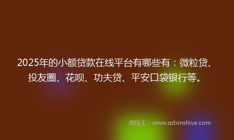 2025年的小额贷款在线平台有哪些有：微粒贷、投友圈、花呗、功夫贷、平安口袋银行等。