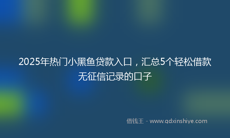 2025年热门小黑鱼贷款入口，汇总5个轻松借款无征信记录的口子