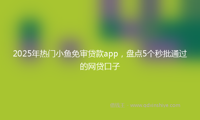 2025年热门小鱼免审贷款app，盘点5个秒批通过的网贷口子