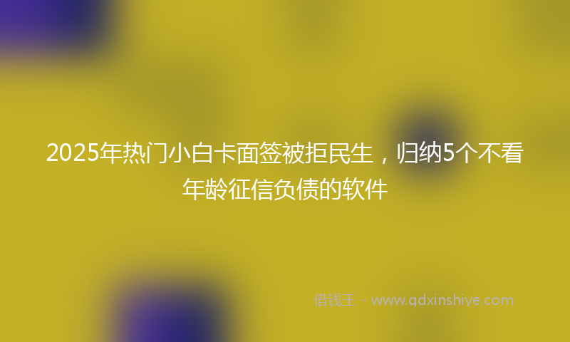 2025年热门小白卡面签被拒民生，归纳5个不看年龄征信负债的软件