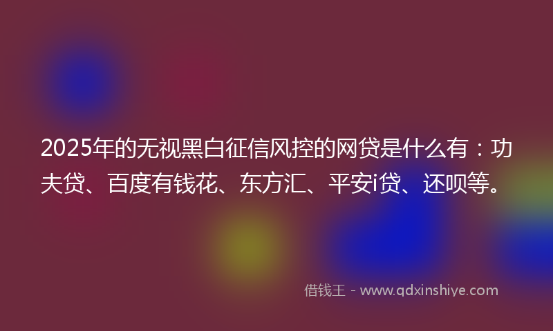 2025年的无视黑白征信风控的网贷是什么有：功夫贷、百度有钱花、东方汇、平安i贷、还呗等。
