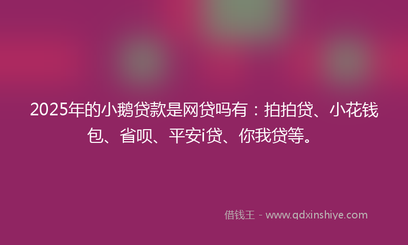 2025年的小鹅贷款是网贷吗有：拍拍贷、小花钱包、省呗、平安i贷、你我贷等。