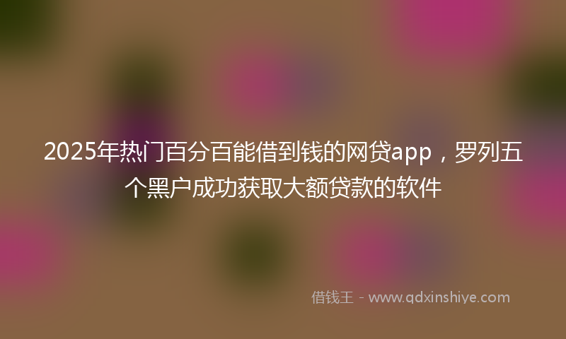 2025年热门百分百能借到钱的网贷app，罗列五个黑户成功获取大额贷款的软件