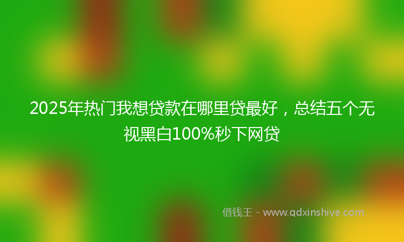 2025年热门我想贷款在哪里贷最好，总结五个无视黑白100%秒下网贷