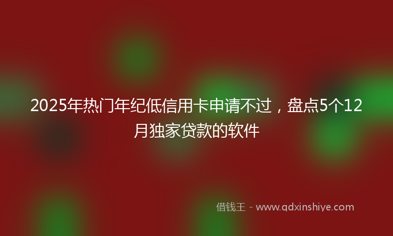 2025年热门年纪低信用卡申请不过，盘点5个12月独家贷款的软件