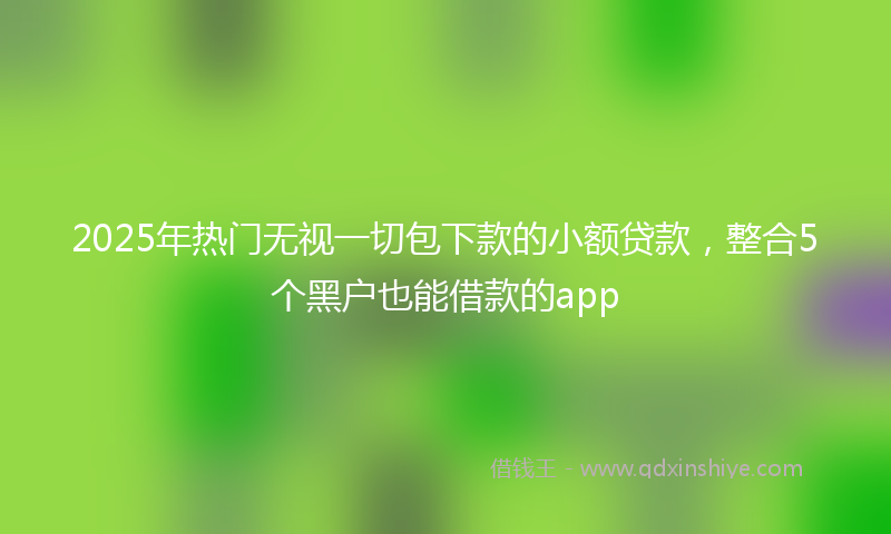 2025年热门无视一切包下款的小额贷款，整合5个黑户也能借款的app