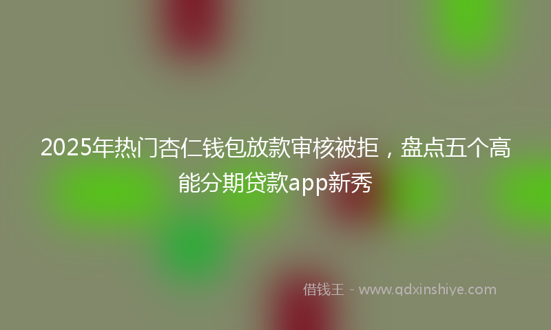 2025年热门杏仁钱包放款审核被拒，盘点五个高能分期贷款app新秀