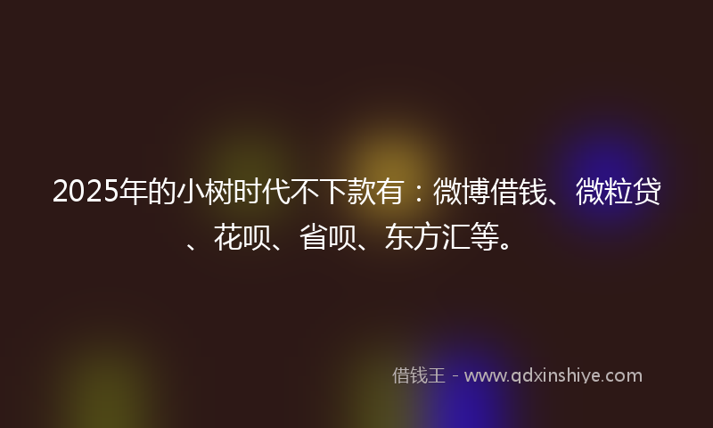 2025年的小树时代不下款有：微博借钱、微粒贷、花呗、省呗、东方汇等。