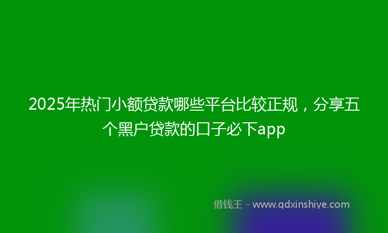 2025年热门小额贷款哪些平台比较正规，分享五个黑户贷款的口子必下app