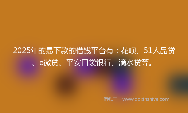 2025年的易下款的借钱平台有：花呗、51人品贷、e微贷、平安口袋银行、滴水贷等。