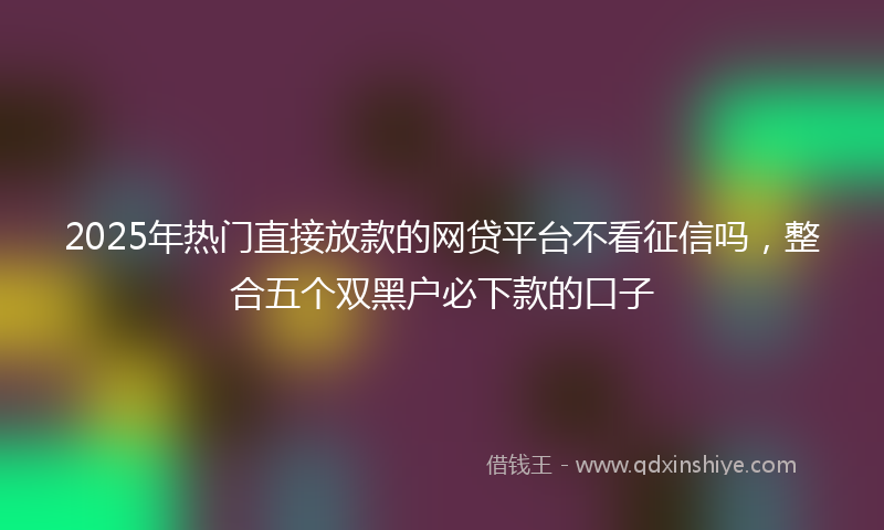 2025年热门直接放款的网贷平台不看征信吗，整合五个双黑户必下款的口子