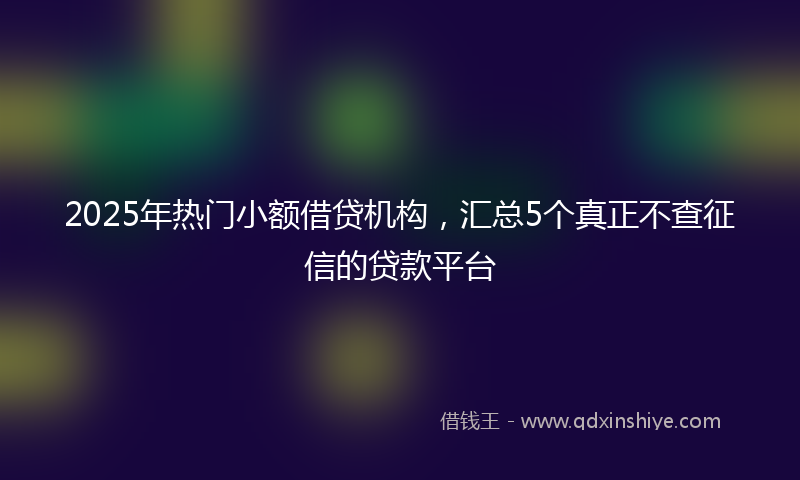 2025年热门小额借贷机构，汇总5个真正不查征信的贷款平台