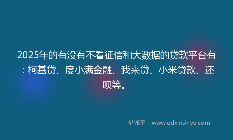 2025年的有没有不看征信和大数据的贷款平台有：柯基贷、度小满金融、我来贷、小米贷款、还呗等。