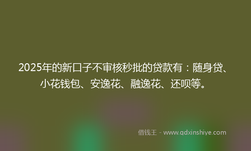 2025年的新口子不审核秒批的贷款有：随身贷、小花钱包、安逸花、融逸花、还呗等。