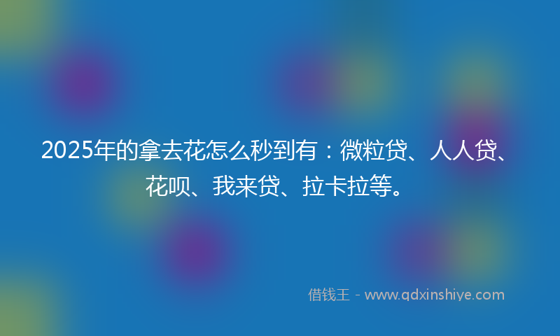 2025年的拿去花怎么秒到有：微粒贷、人人贷、花呗、我来贷、拉卡拉等。