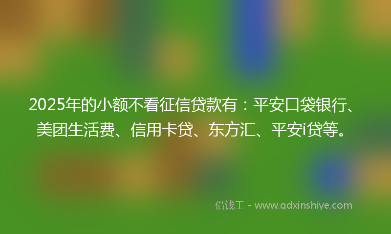 2025年的小额不看征信贷款有：平安口袋银行、美团生活费、信用卡贷、东方汇、平安i贷等。