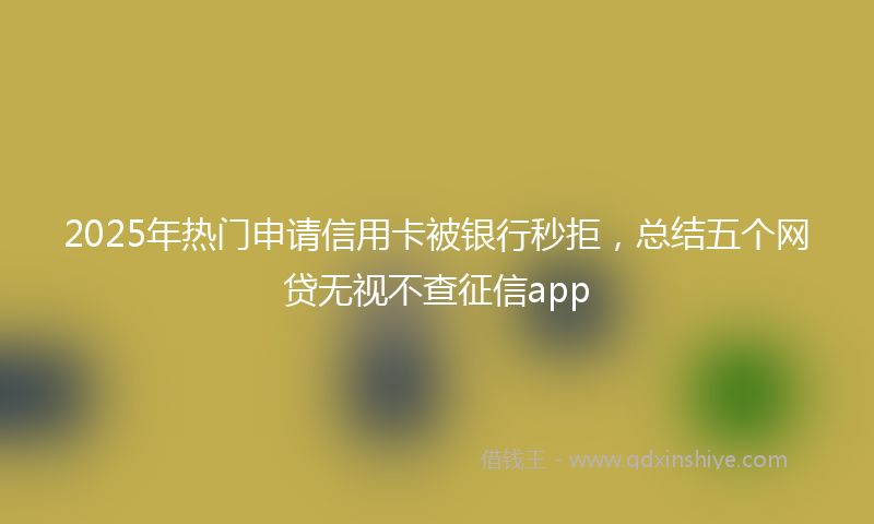 2025年热门申请信用卡被银行秒拒，总结五个网贷无视不查征信app