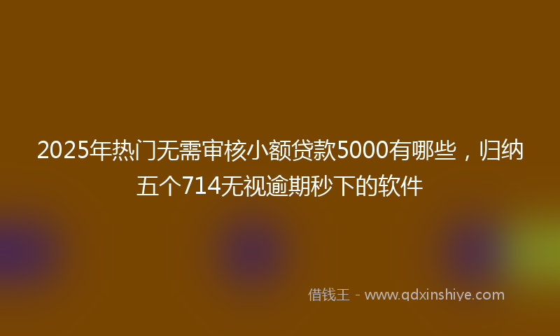 2025年热门无需审核小额贷款5000有哪些，归纳五个714无视逾期秒下的软件