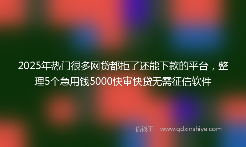 2025年热门很多网贷都拒了还能下款的平台，整理5个急用钱5000快审快贷无需征信软件