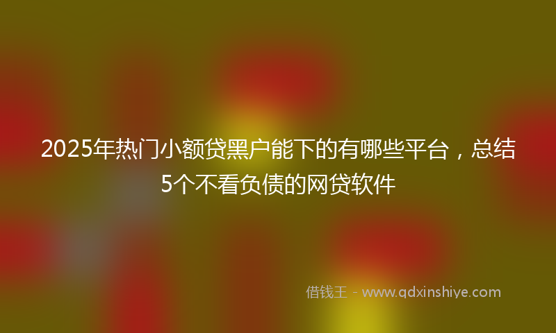 2025年热门小额贷黑户能下的有哪些平台，总结5个不看负债的网贷软件