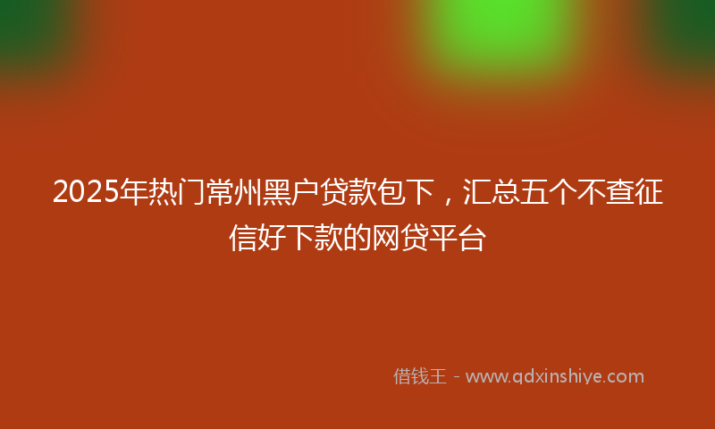 2025年热门常州黑户贷款包下，汇总五个不查征信好下款的网贷平台