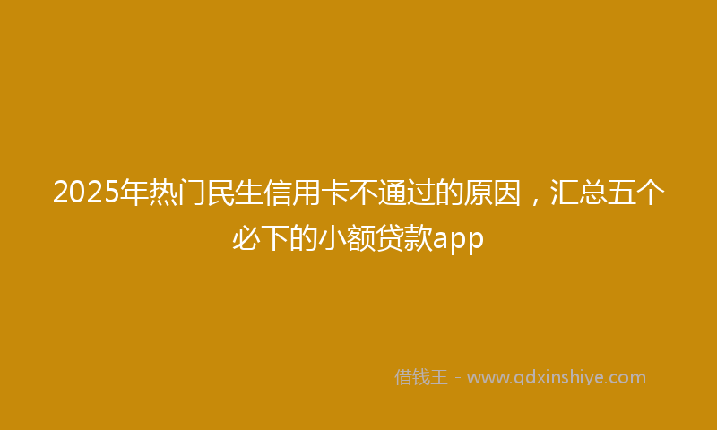 2025年热门民生信用卡不通过的原因，汇总五个必下的小额贷款app