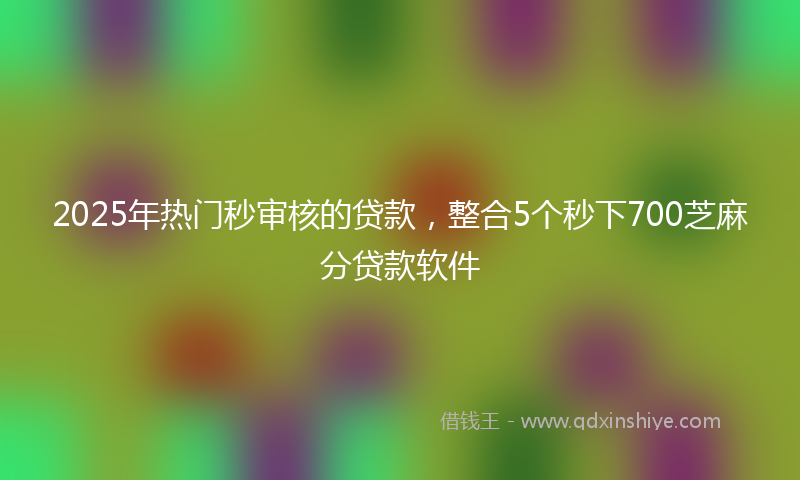 2025年热门秒审核的贷款，整合5个秒下700芝麻分贷款软件