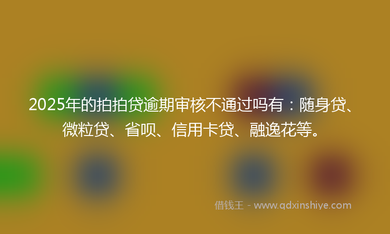 2025年的拍拍贷逾期审核不通过吗有：随身贷、微粒贷、省呗、信用卡贷、融逸花等。