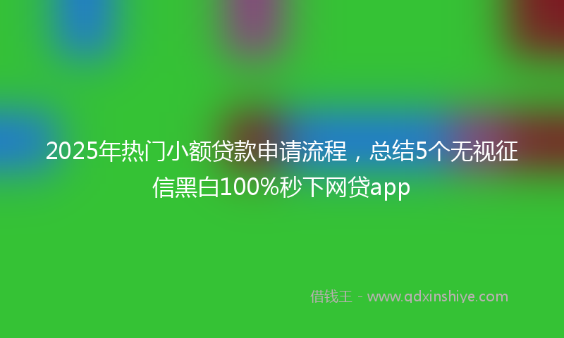2025年热门小额贷款申请流程，总结5个无视征信黑白100%秒下网贷app