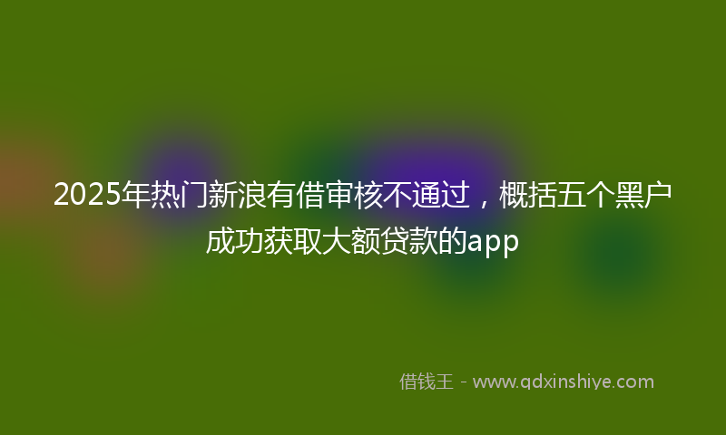 2025年热门新浪有借审核不通过，概括五个黑户成功获取大额贷款的app