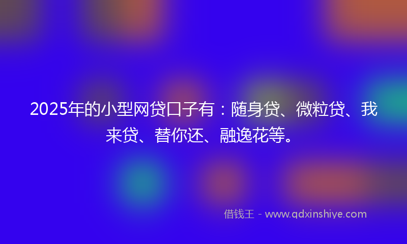 2025年的小型网贷口子有：随身贷、微粒贷、我来贷、替你还、融逸花等。