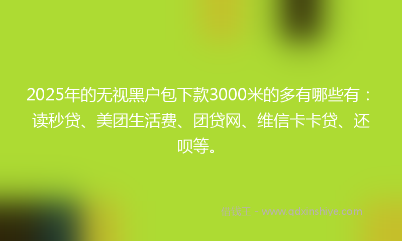 2025年的无视黑户包下款3000米的多有哪些有：读秒贷、美团生活费、团贷网、维信卡卡贷、还呗等。