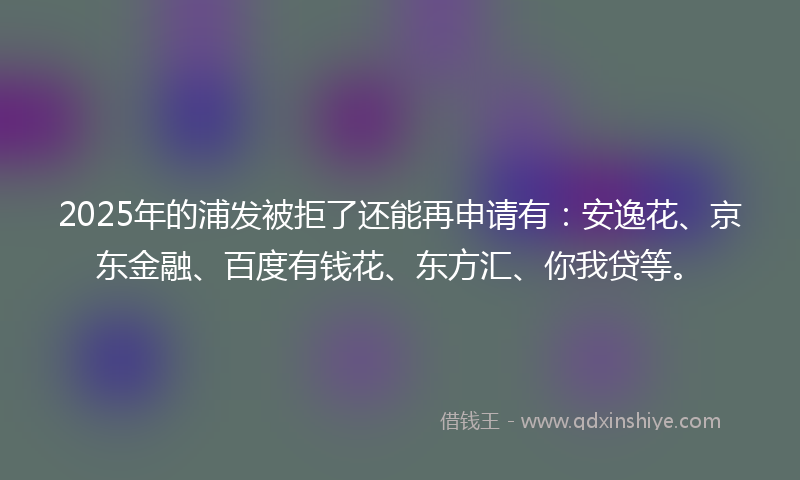 2025年的浦发被拒了还能再申请有：安逸花、京东金融、百度有钱花、东方汇、你我贷等。