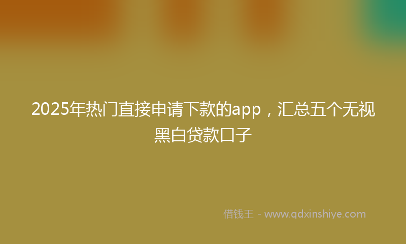 2025年热门直接申请下款的app，汇总五个无视黑白贷款口子
