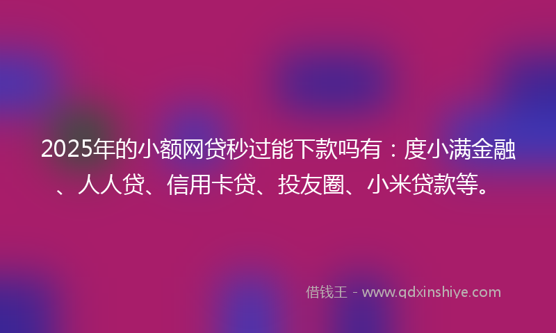 2025年的小额网贷秒过能下款吗有：度小满金融、人人贷、信用卡贷、投友圈、小米贷款等。