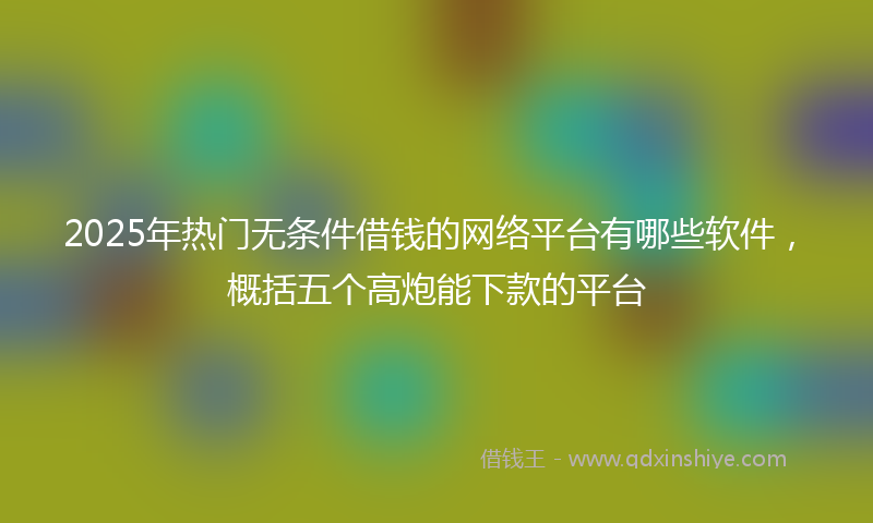 2025年热门无条件借钱的网络平台有哪些软件，概括五个高炮能下款的平台