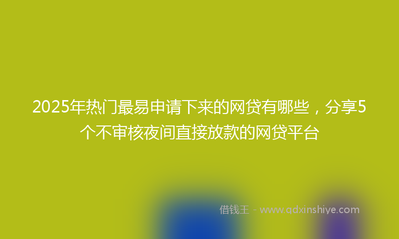 2025年热门最易申请下来的网贷有哪些，分享5个不审核夜间直接放款的网贷平台