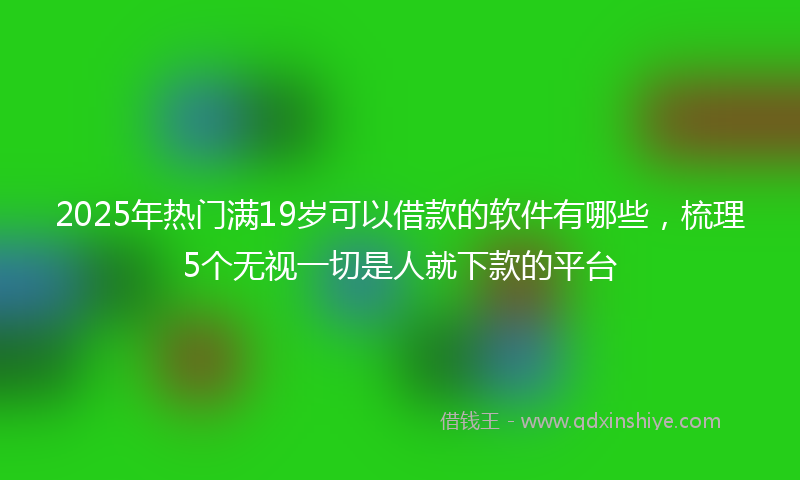 2025年热门满19岁可以借款的软件有哪些，梳理5个无视一切是人就下款的平台