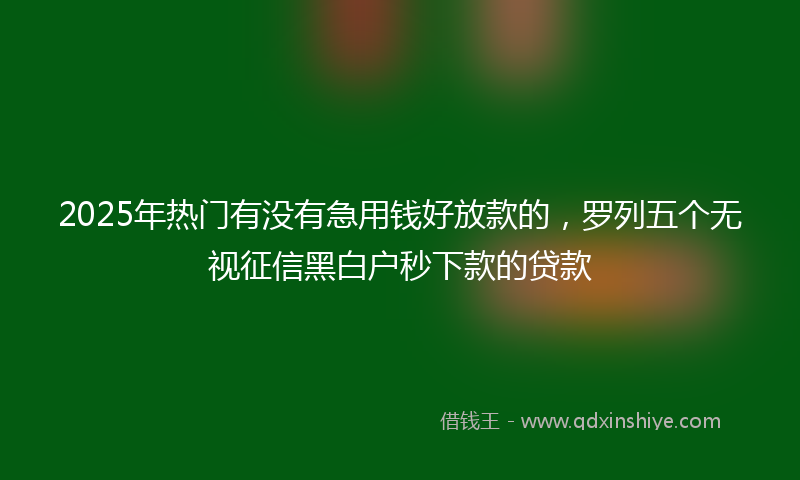 2025年热门有没有急用钱好放款的，罗列五个无视征信黑白户秒下款的贷款
