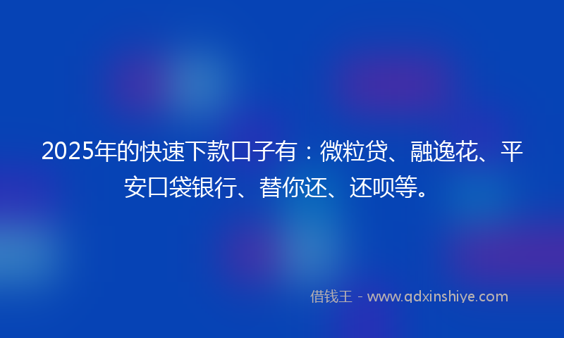 2025年的快速下款口子有：微粒贷、融逸花、平安口袋银行、替你还、还呗等。