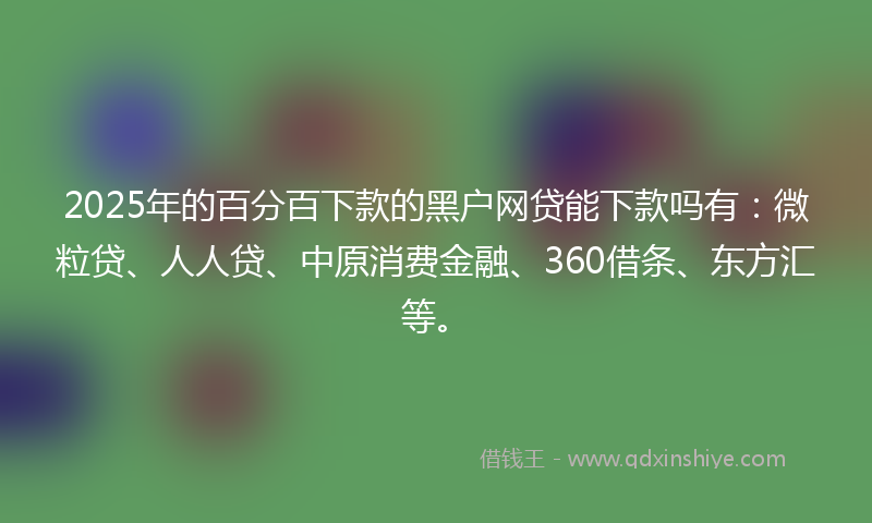 2025年的百分百下款的黑户网贷能下款吗有：微粒贷、人人贷、中原消费金融、360借条、东方汇等。