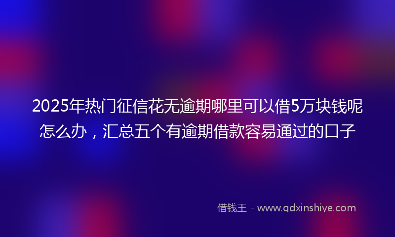 2025年热门征信花无逾期哪里可以借5万块钱呢怎么办，汇总五个有逾期借款容易通过的口子