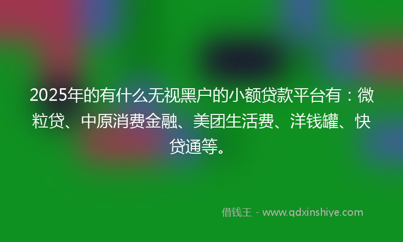 2025年的有什么无视黑户的小额贷款平台有：微粒贷、中原消费金融、美团生活费、洋钱罐、快贷通等。